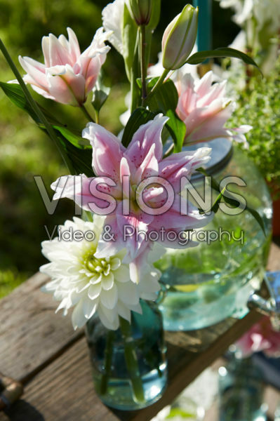 Roselily Natalia® Roselily Natalia®