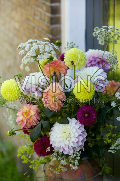 Dahlia arrangement Dahlia arrangement