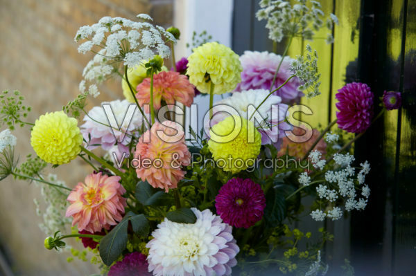 Dahlia arrangement Dahlia arrangement