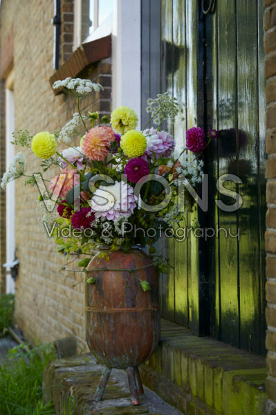 Dahlia arrangement Dahlia arrangement