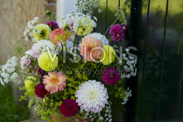 Dahlia arrangement Dahlia arrangement