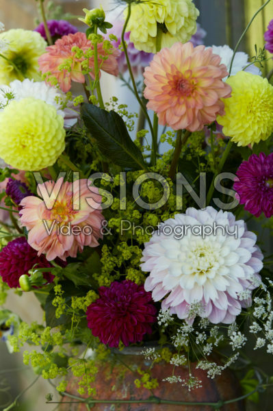 Dahlia arrangement Dahlia arrangement