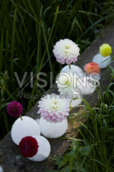 IJs vazen met dahlias IJs vazen met dahlias