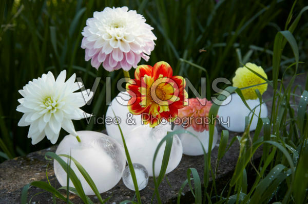 IJs vazen met dahlias IJs vazen met dahlias