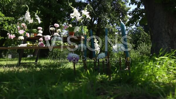  VIDEO Summer flowers