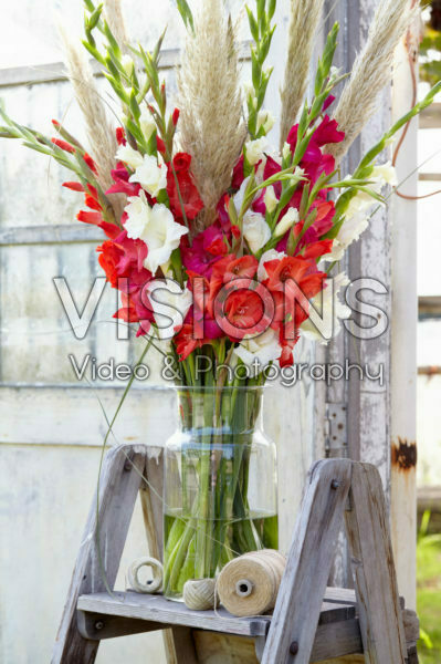 Gladiolus boeket