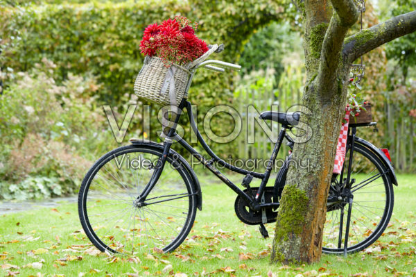 Bloemen in fietsmand