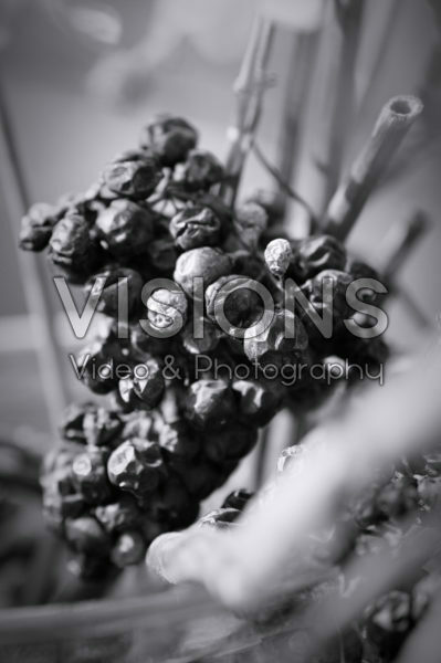 Still life dried grapes