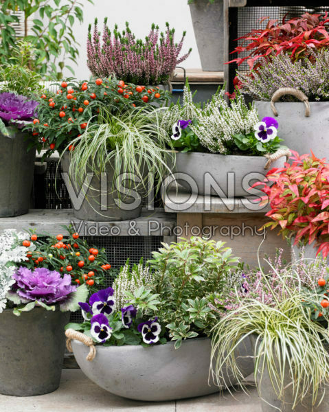 Winter containers