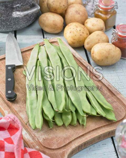 Phaseolus vulgaris Phaseolus vulgaris