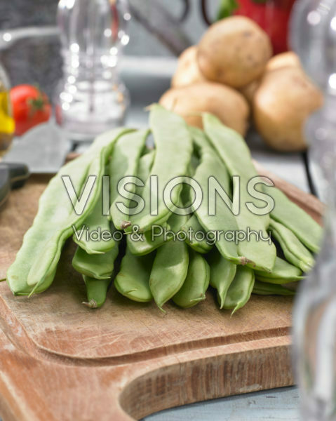 Phaseolus vulgaris Phaseolus vulgaris