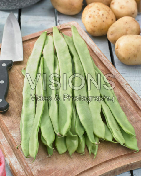 Phaseolus vulgaris Phaseolus vulgaris