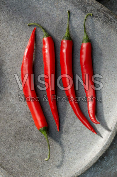 Capsicum annuum Capsicum annuum