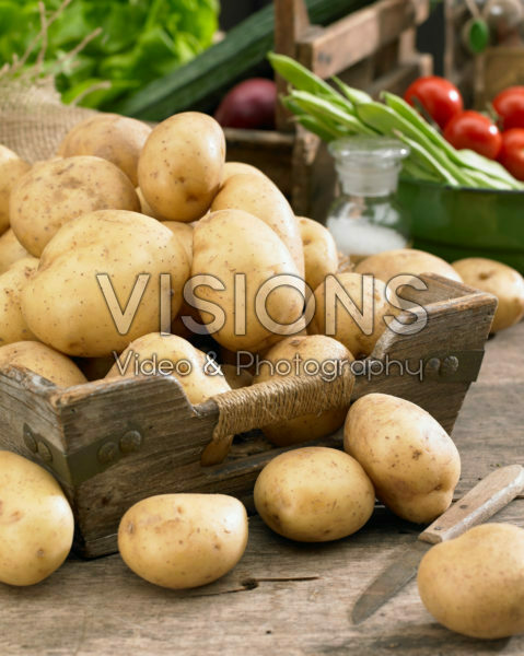 Solanum tuberosum Melody Solanum tuberosum Melody