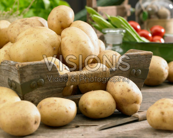 Solanum tuberosum Melody Solanum tuberosum Melody