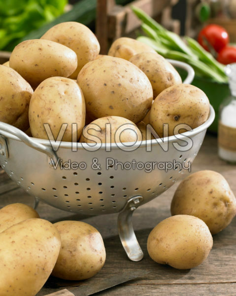 Solanum tuberosum Melody Solanum tuberosum Melody