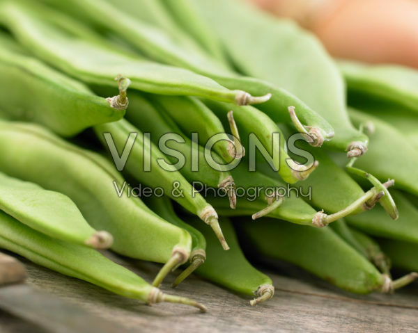 Phaseolus vulgaris