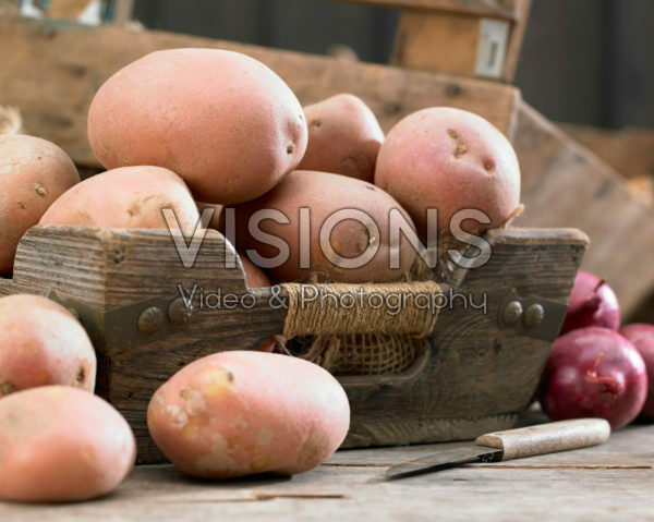 Solanum tuberosum Mozart Solanum tuberosum Mozart