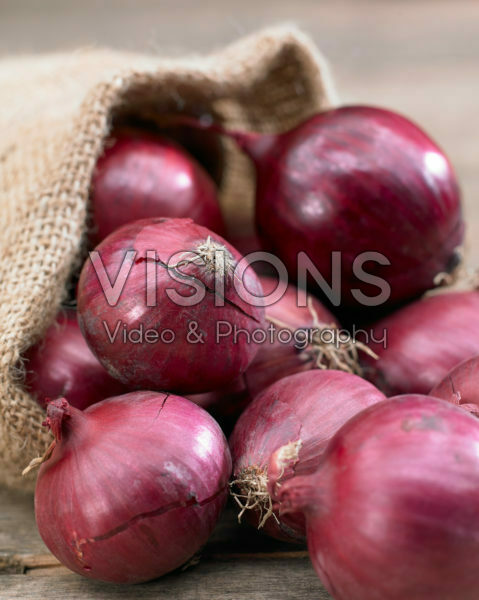 Allium cepa Allium cepa