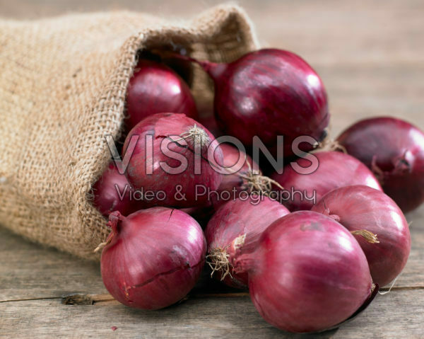 Allium cepa Allium cepa