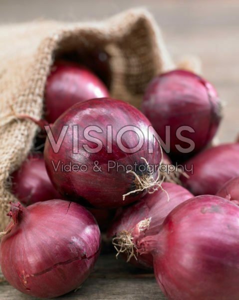 Allium cepa Allium cepa