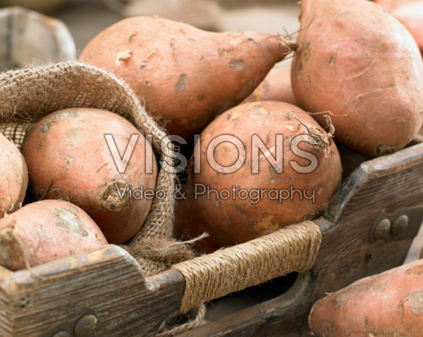 Ipomoea batatas Covington Ipomoea batatas Covington