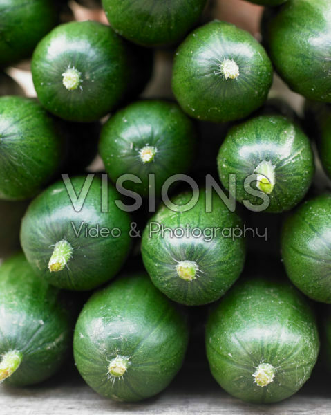 Cucumis sativus Cucumis sativus