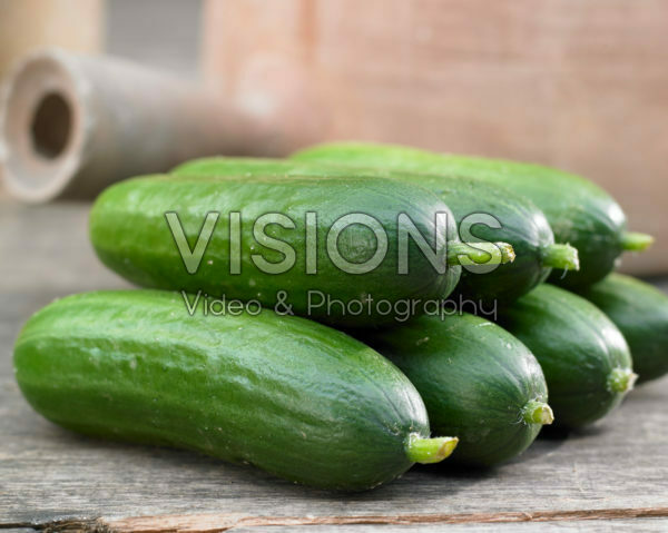 Cucumis sativus Cucumis sativus