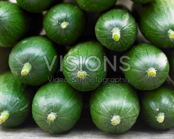 Cucumis sativus Cucumis sativus