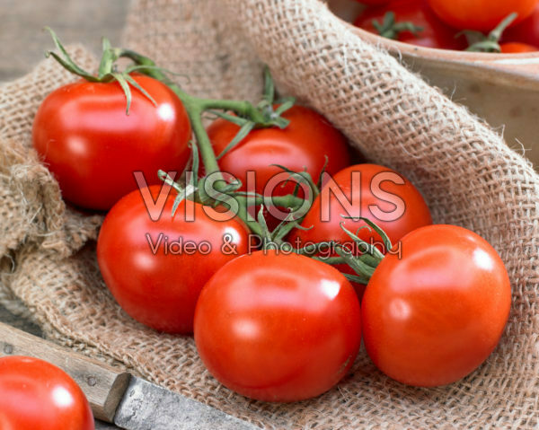 Solanum lycopersicum Tasty Tom Solanum lycopersicum Tasty Tom