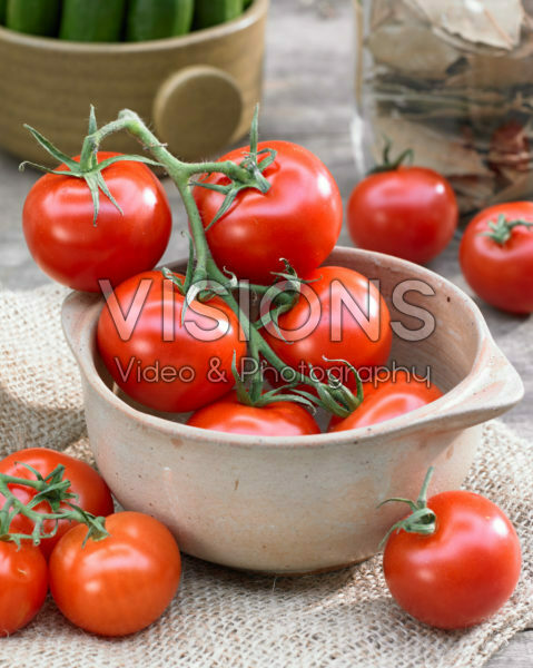 Solanum lycopersicum Tasty Tom Solanum lycopersicum Tasty Tom