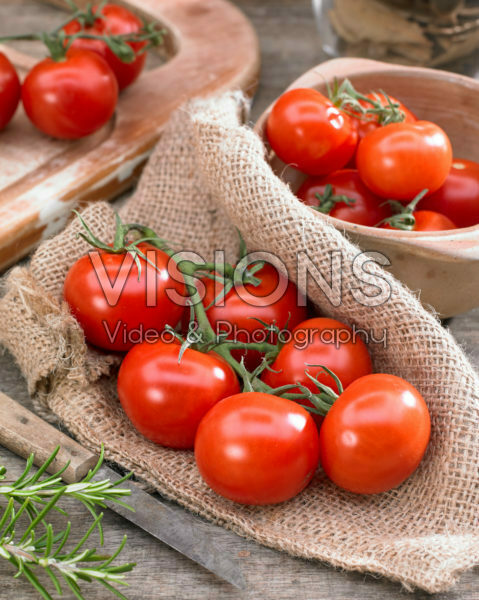 Solanum lycopersicum Tasty Tom Solanum lycopersicum Tasty Tom
