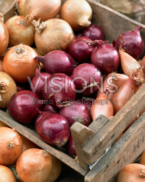 Onion assortment