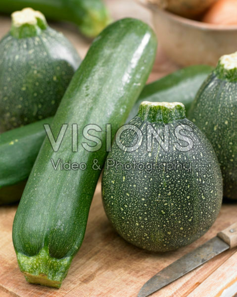 Cucurbita pepo Cucurbita pepo