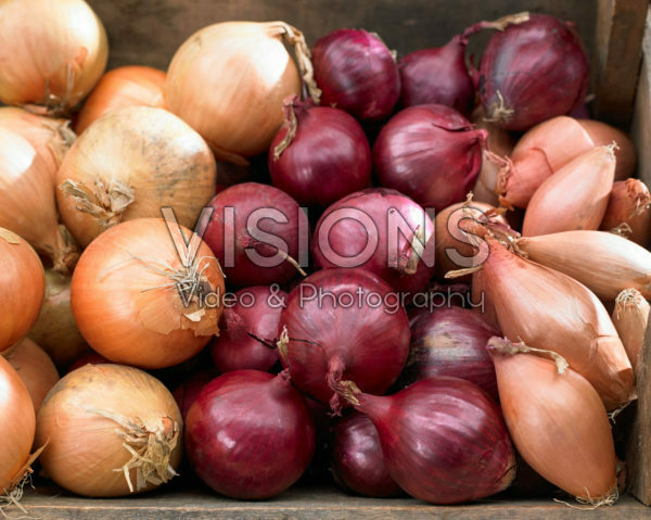 Uien assortiment Uien assortiment