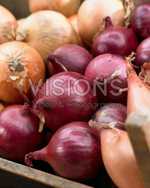 Uien assortiment