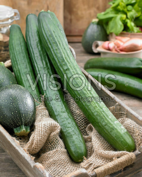 Cucumis sativus, Cucurbita pepo Cucumis sativus, Cucurbita pepo