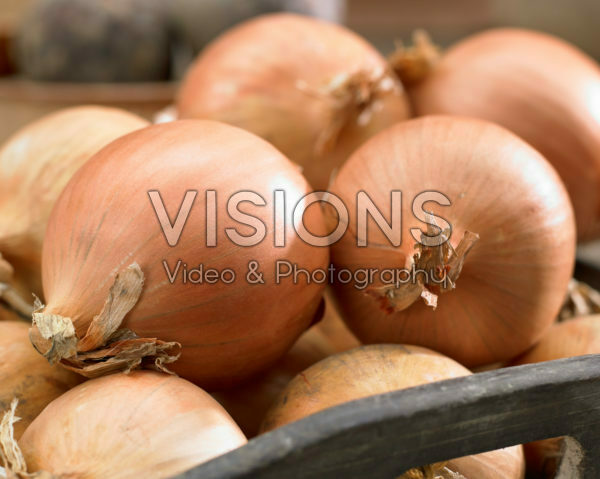 Allium cepa Allium cepa
