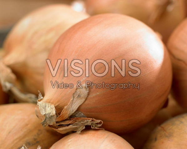 Allium cepa