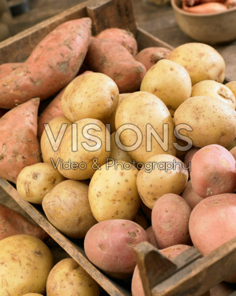 Aardappel assortiment Aardappel assortiment