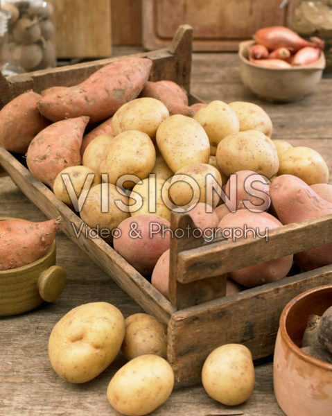 Aardappel assortiment