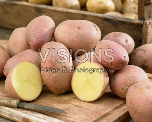 Solanum tuberosum Mozart