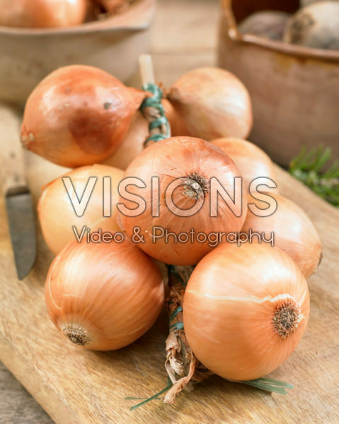 Allium cepa Allium cepa