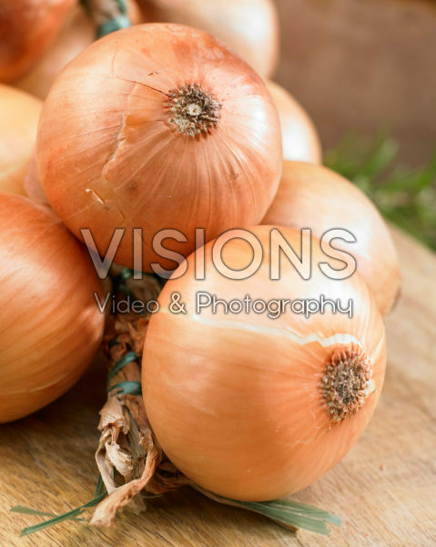 Allium cepa Allium cepa