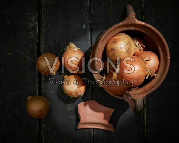 Allium cepa Allium cepa