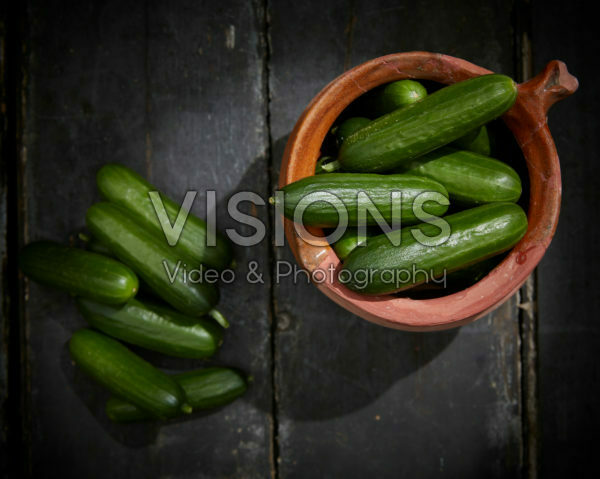 Cucumis sativus Cucumis sativus