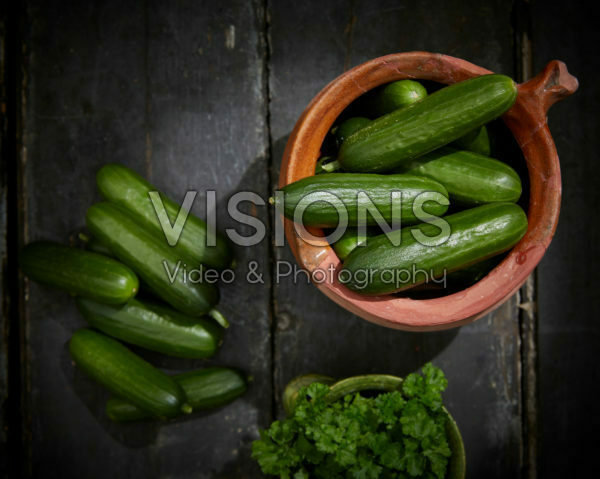 Cucumis sativus Cucumis sativus
