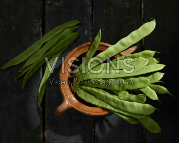 Phaseolus vulgaris Phaseolus vulgaris