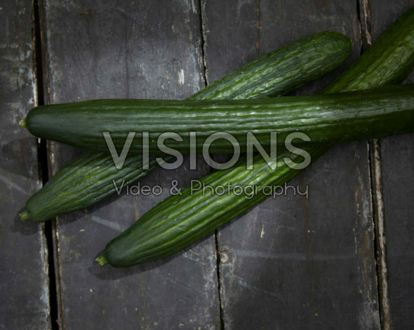 Cucumis sativus Cucumis sativus