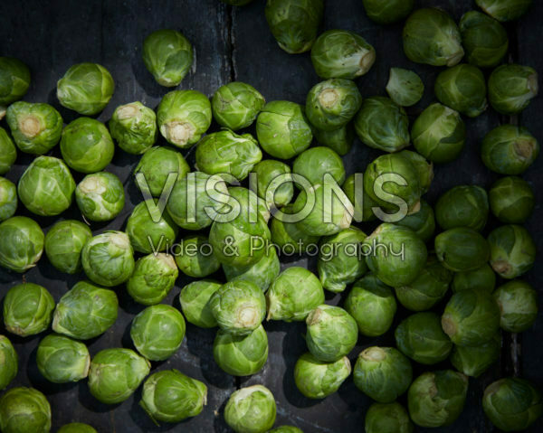 Brassica oleracea var. gemmifera